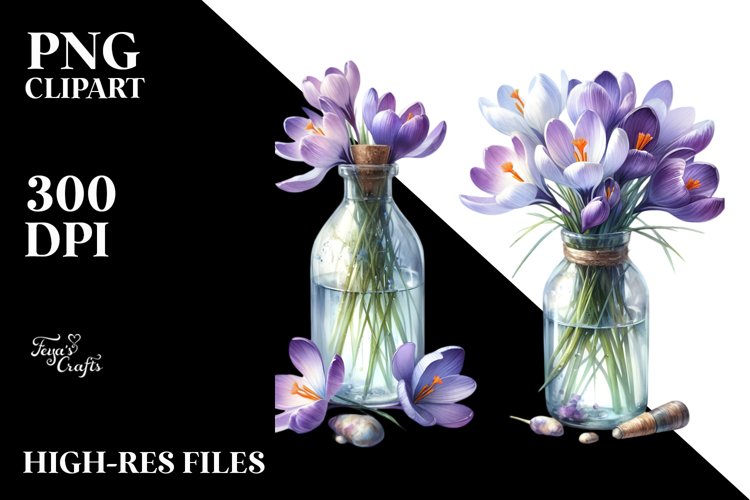 Bottle Crocus Watercolor | Clipart