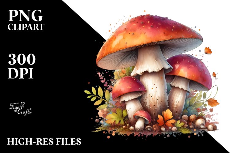 Mushroom Png Image 24