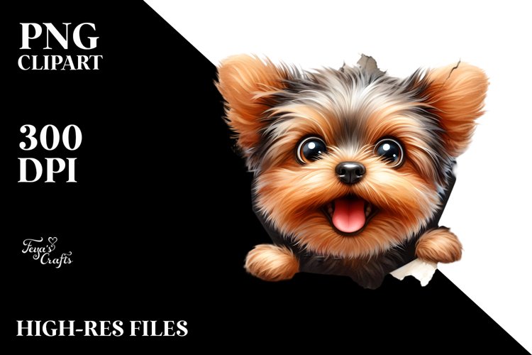 Funny Crazy Yorkipoo Sticking Out Through White Paper |