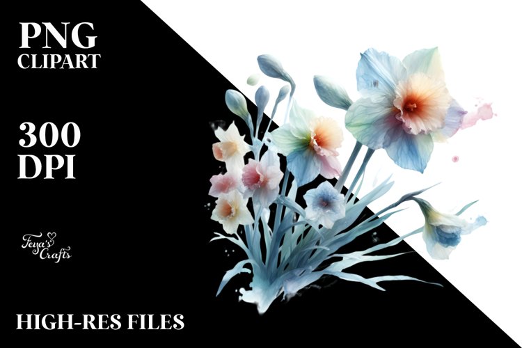 y Narcissus | Clipart