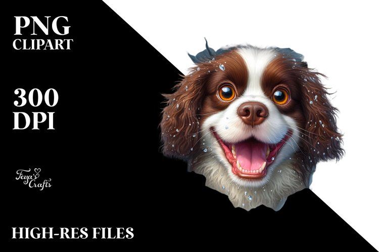 Crazy Springer Spaniel Clipart example image 1