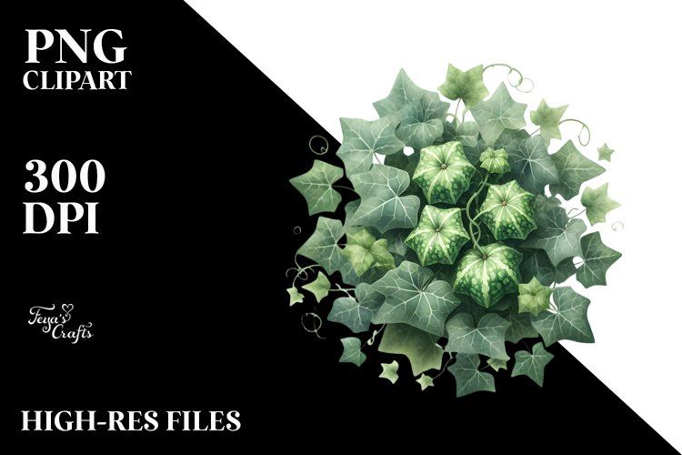 Ivy Png Image 7