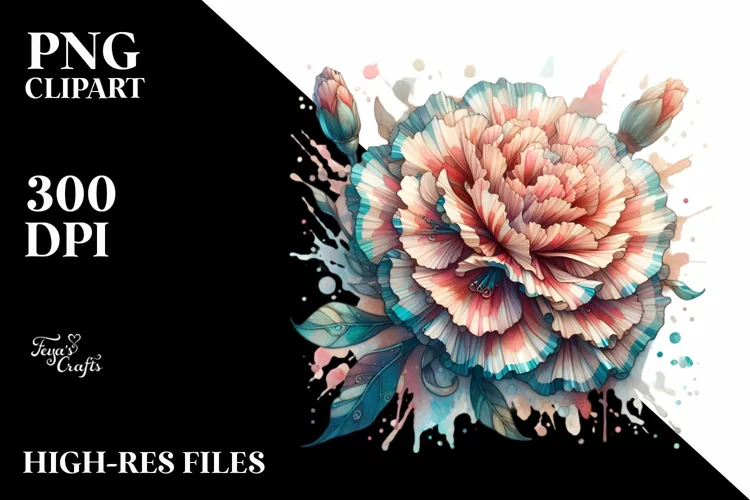 Wooden Stained Carnation Watercolor Splash PNG
