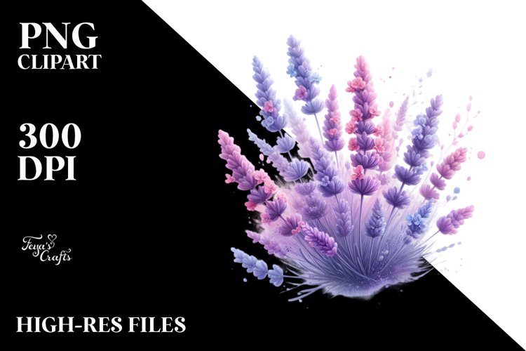 Lavender Png Image 15