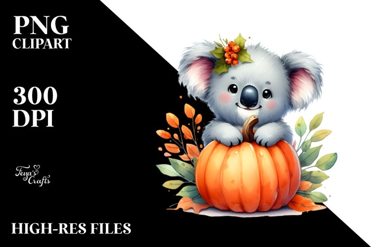 Cute Koala Pictures Image 11