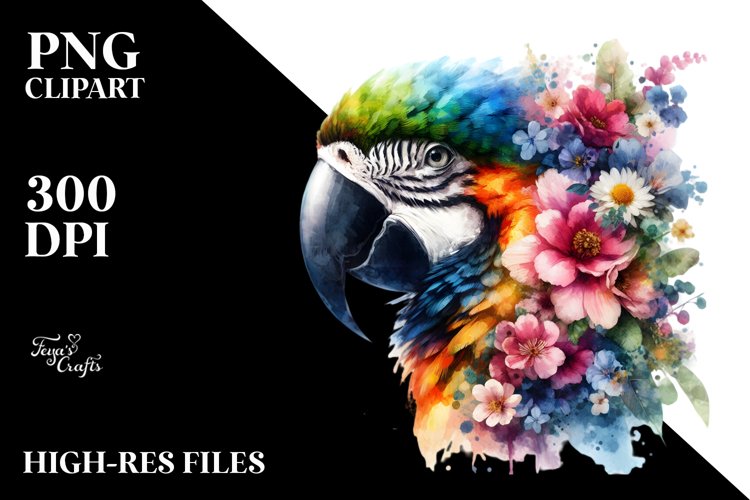 Macaw Clipart Image 16