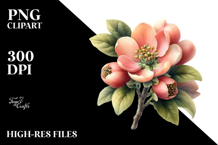 Summer Clipart Image 14