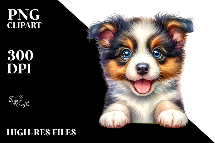 Border Collie Clipart Image 9