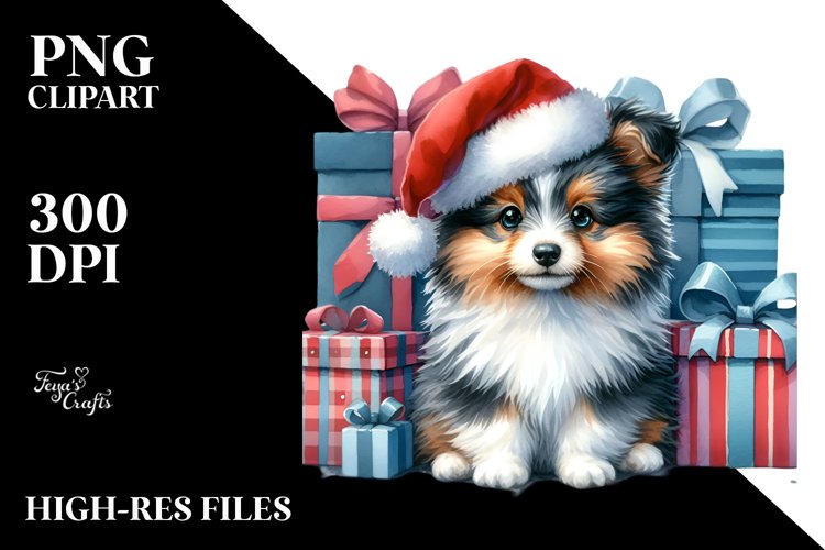 Expressive Shetland Sheepdog PNG
