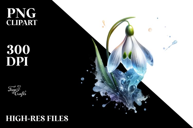 Glossy Snowdrop Watercolor Splash | Clipart