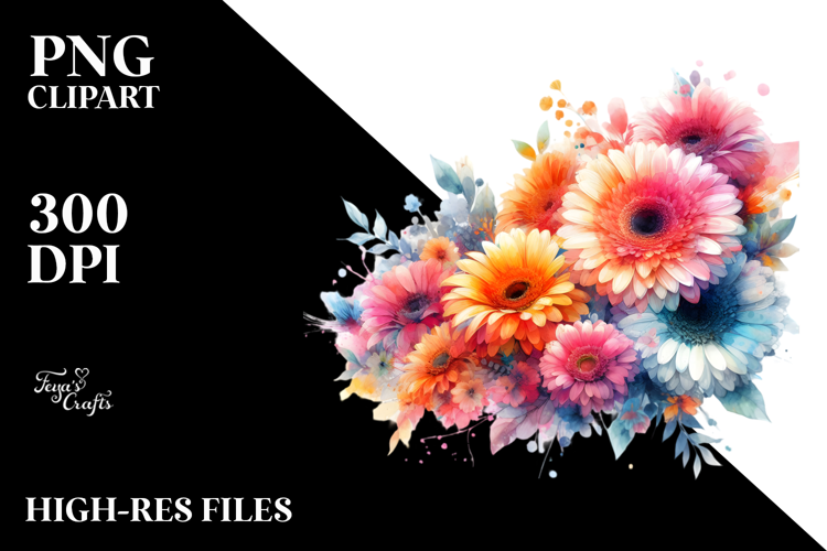 Vibrant Gerbera Abstract, White Background