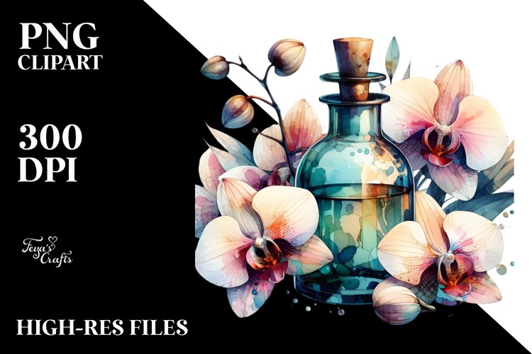 Orchid Clipart Image 20