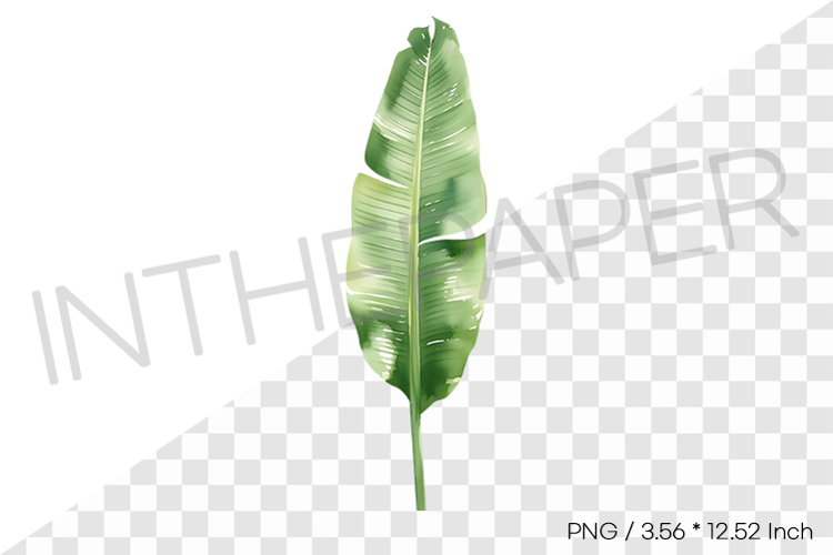 Banana Split Clipart Image 5