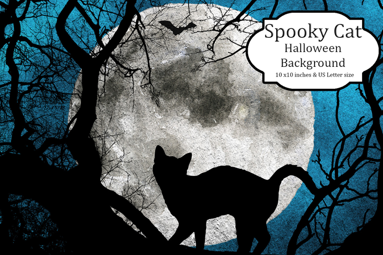 Spooky Cat Background