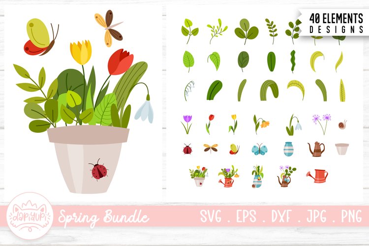 Tulip Illustration Image 6