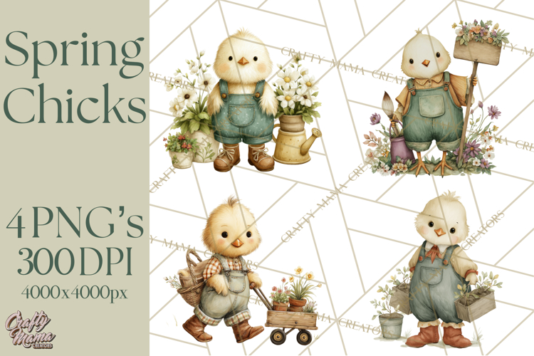 Baby Chick Clipart Image 20