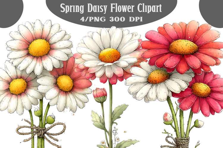 Spring Daisy Flower Clipart