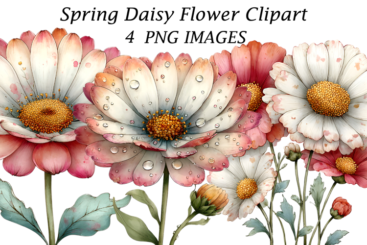 Daisy Background Image 16
