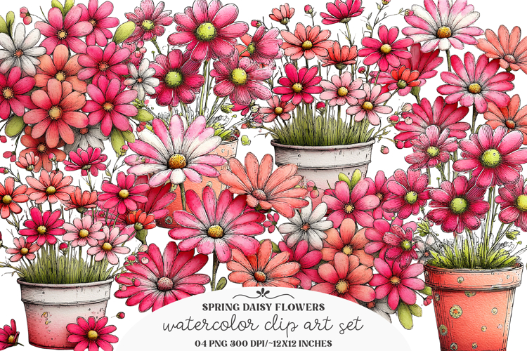 Spring daisy flower clipart - Spring daisy flower Png