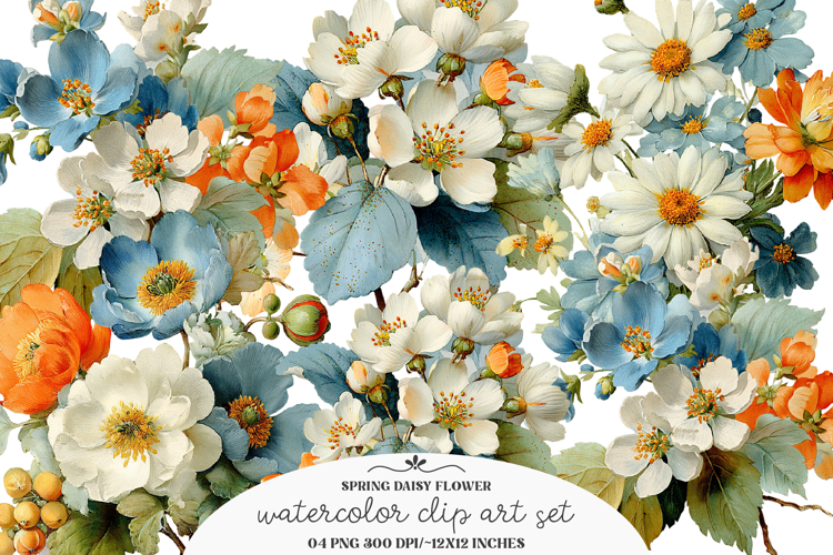 Spring daisy flower clipart