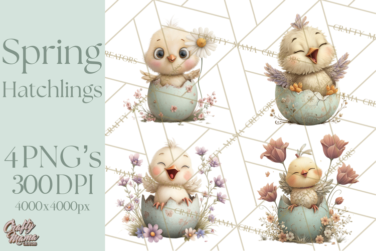 Egg Illustration Image 6