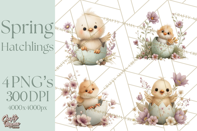 Egg Illustration Image 16