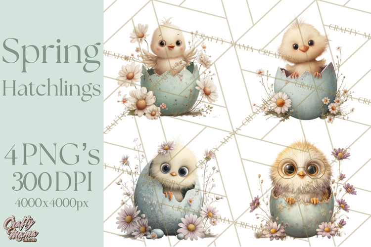 Egg Illustration Image 9