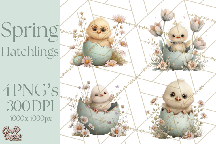 Egg Illustration Image 10