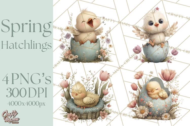 Egg Illustration Image 14