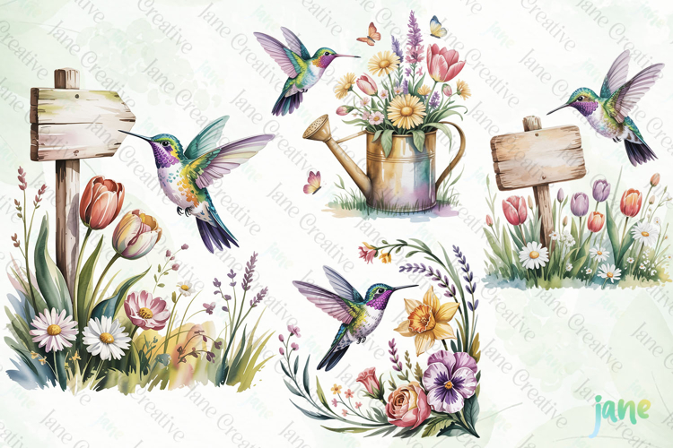 Spring Hummingbird Clipart