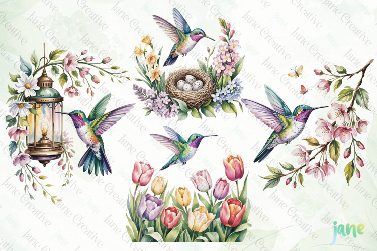Spring Hummingbird Clipart