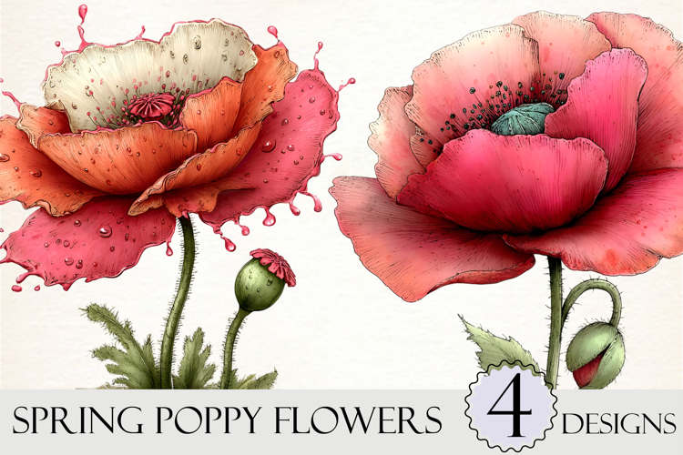 Whimsical Spring Poppy Flowers Clipart