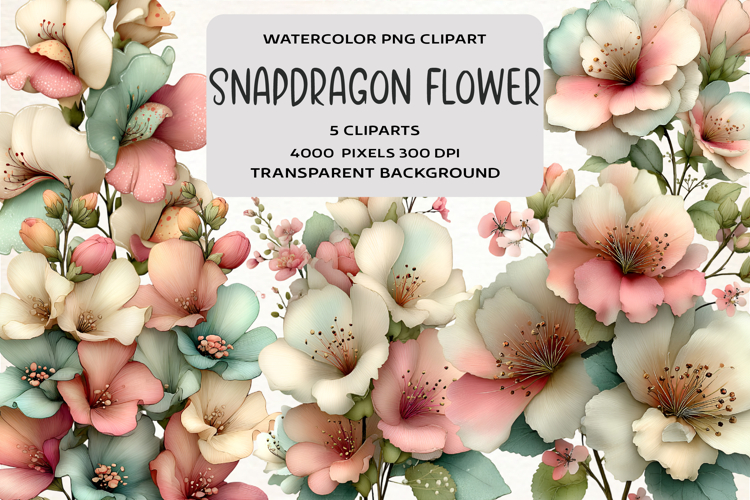 Spring Snapdragon Flower Clipart