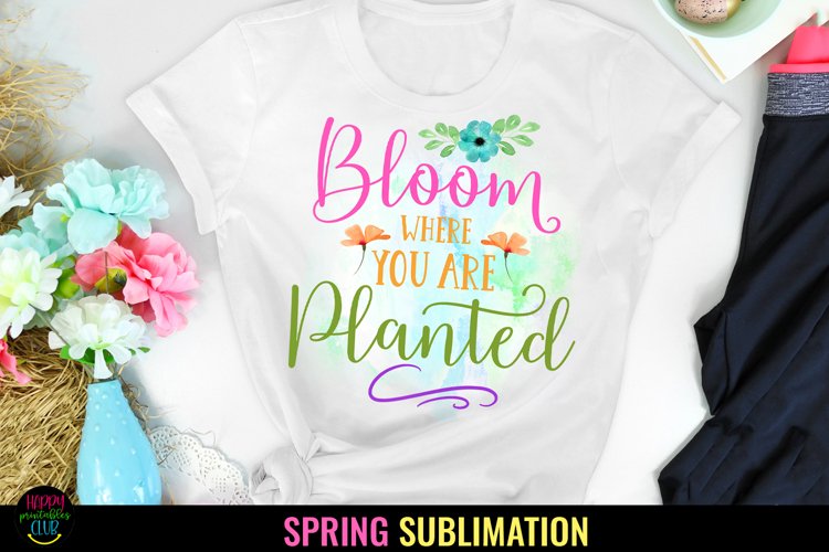 Spring Clipart Image 22