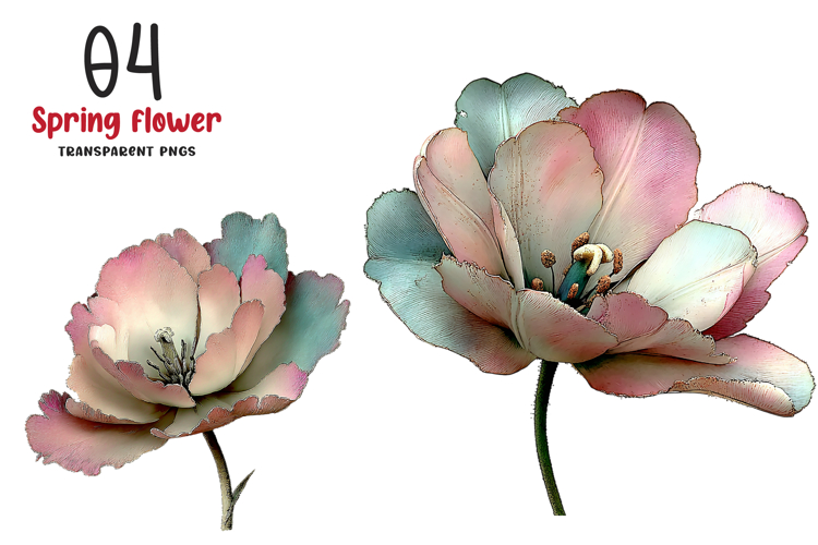 Spring Tulip Flower Clipart example image 1