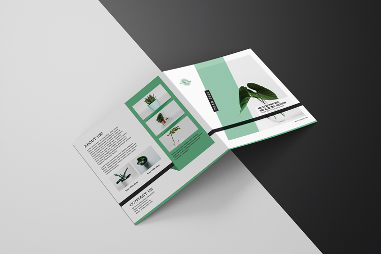Multipurpose Square Bifold Brochure