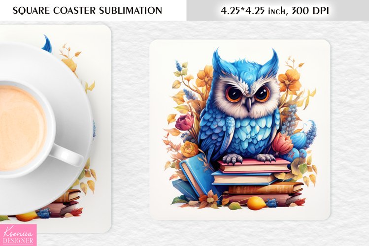 Owl Clipart Image 18