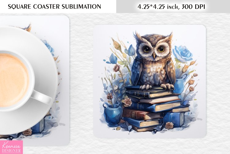 Brown Blue Owl and Books|Animal Square Coaster PNG