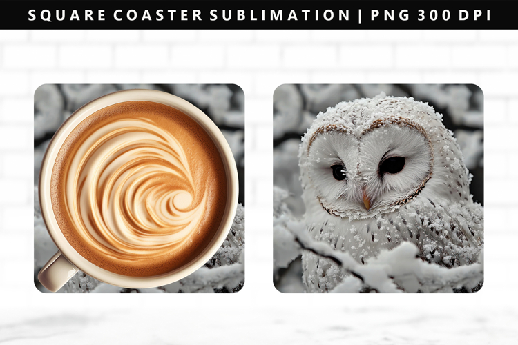 Owl Square Coaster Design | Square Coaster PNG