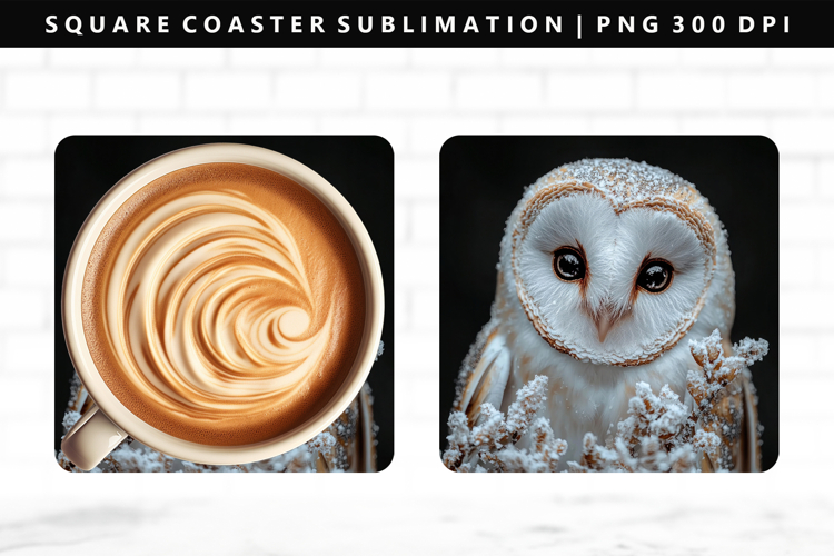 Owl Square Coaster Design | Square Coaster PNG