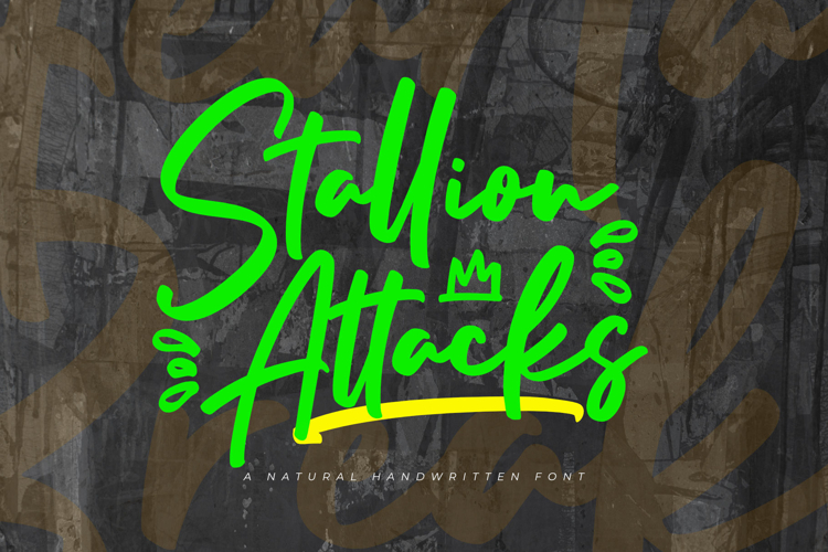 Stallion Attacks | A Stylish Handwritten Brush Font