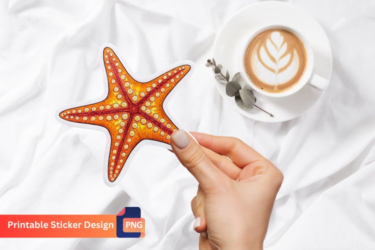 Starfish Clipart Image 6