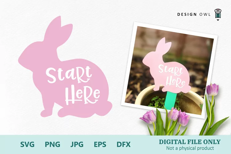 Start here bunny sign - Easter Hunt Sign SVG