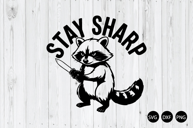Raccoon Png Image 18