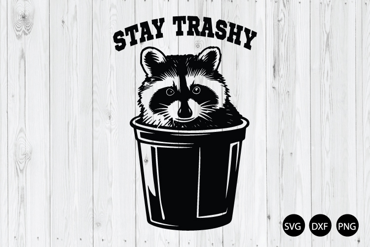 Stay Trashy Raccoon in Trashcan SVG, Raccoon SVG