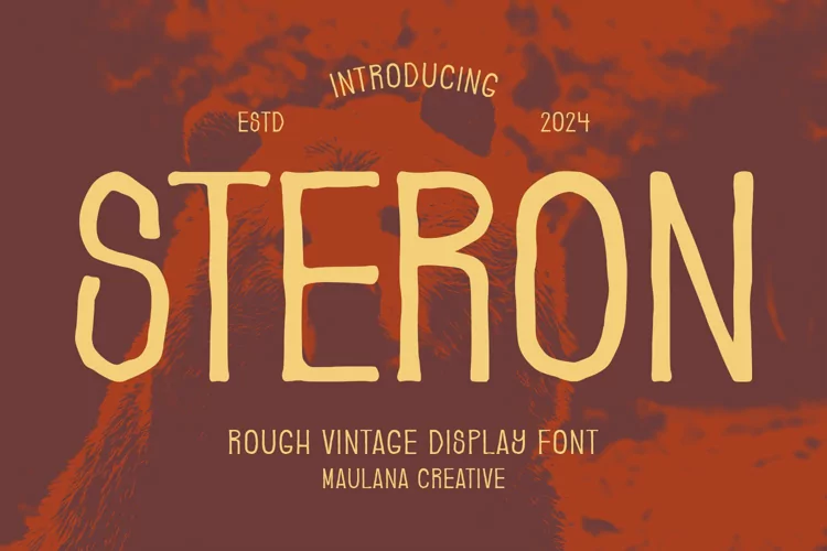 Steron Rough Vintage Display Font