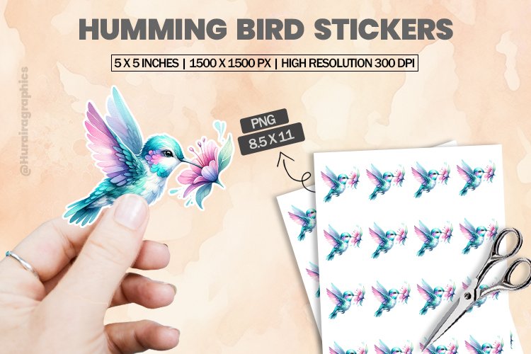 Humming Bird Clipart Image 8