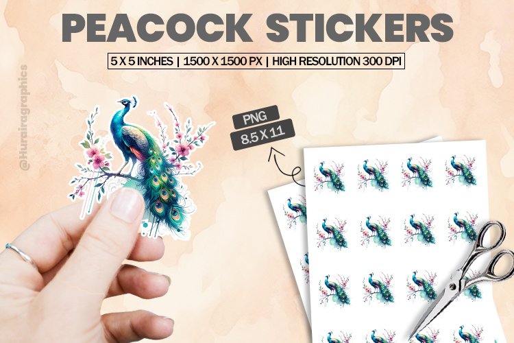 Peacock Png Image 20