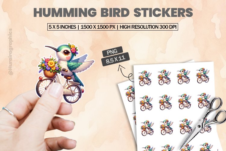 Humming Bird Clipart