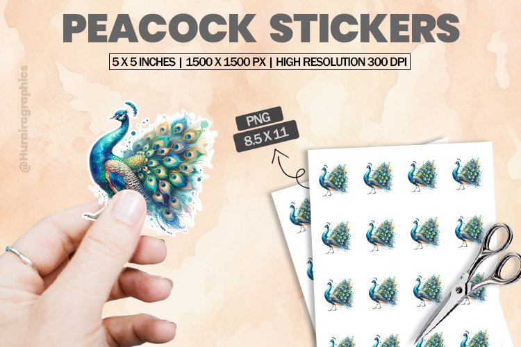 Peacock Png Image 13